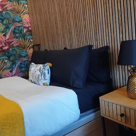 Fridda House Hospital Апартаменты *